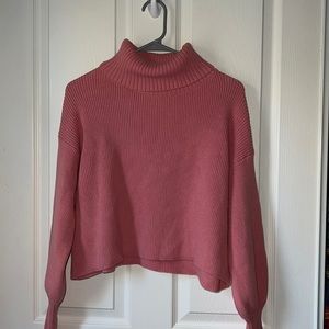 WildFable crop turtle neck sweater
